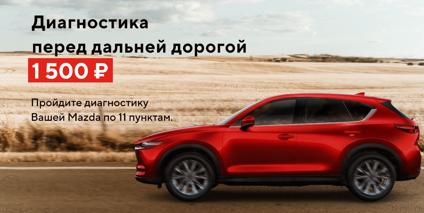 Диагностика перед дальней дорогой 1500 руб.
