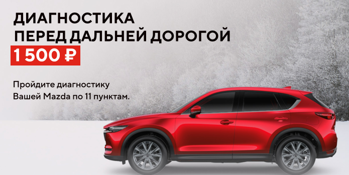 Диагностика перед дальней дорогой 1500 руб
