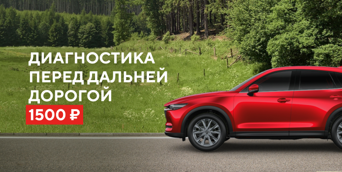 Диагностика перед дальней дорогой 1500 руб